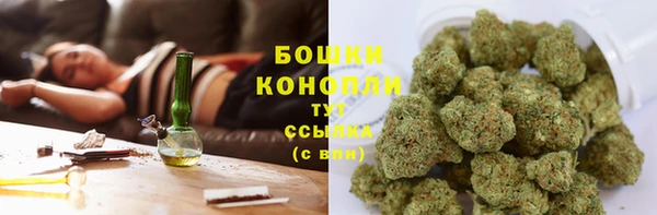 каннабис Каменногорск