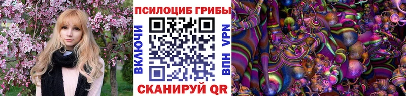 Галлюциногенные грибы мицелий  Купить где  Зеленоградск 